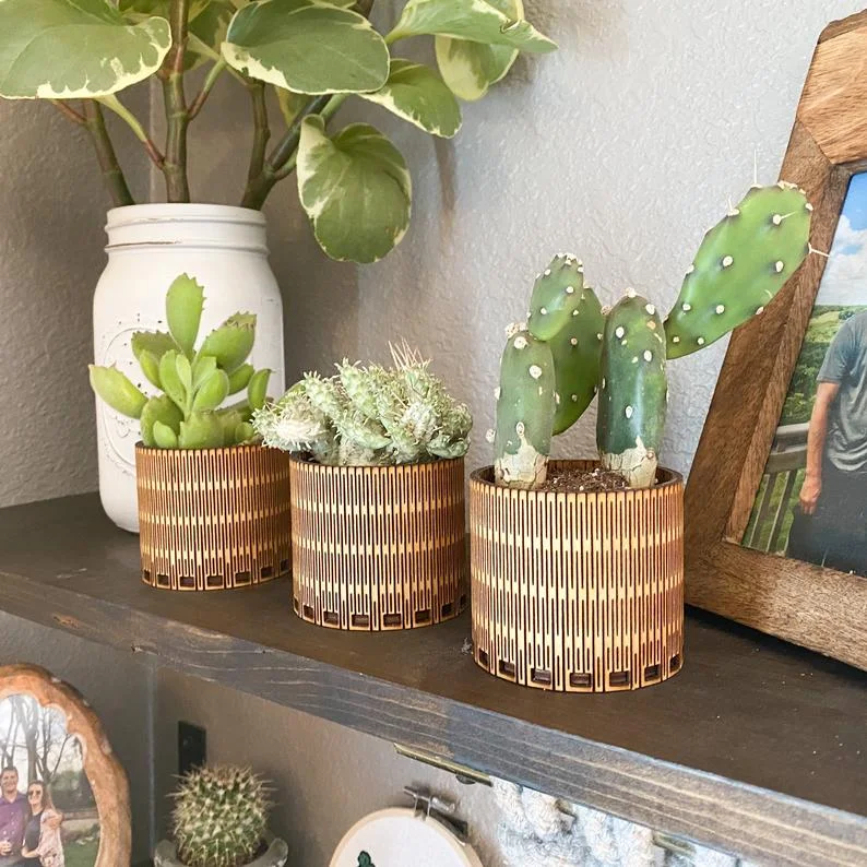 best pots for succulents