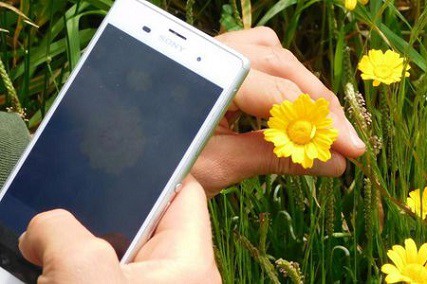 best plant identification app