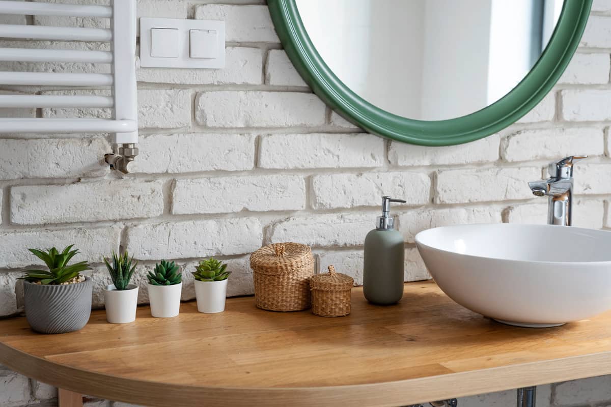 succulents in bathroom