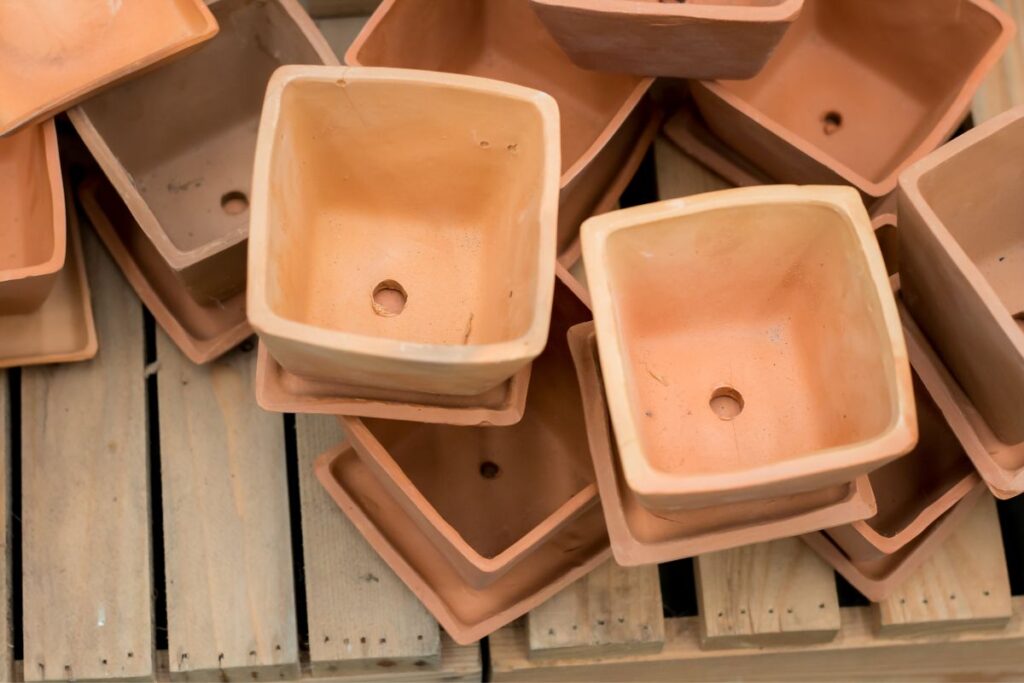 cactus pots with drainage holes