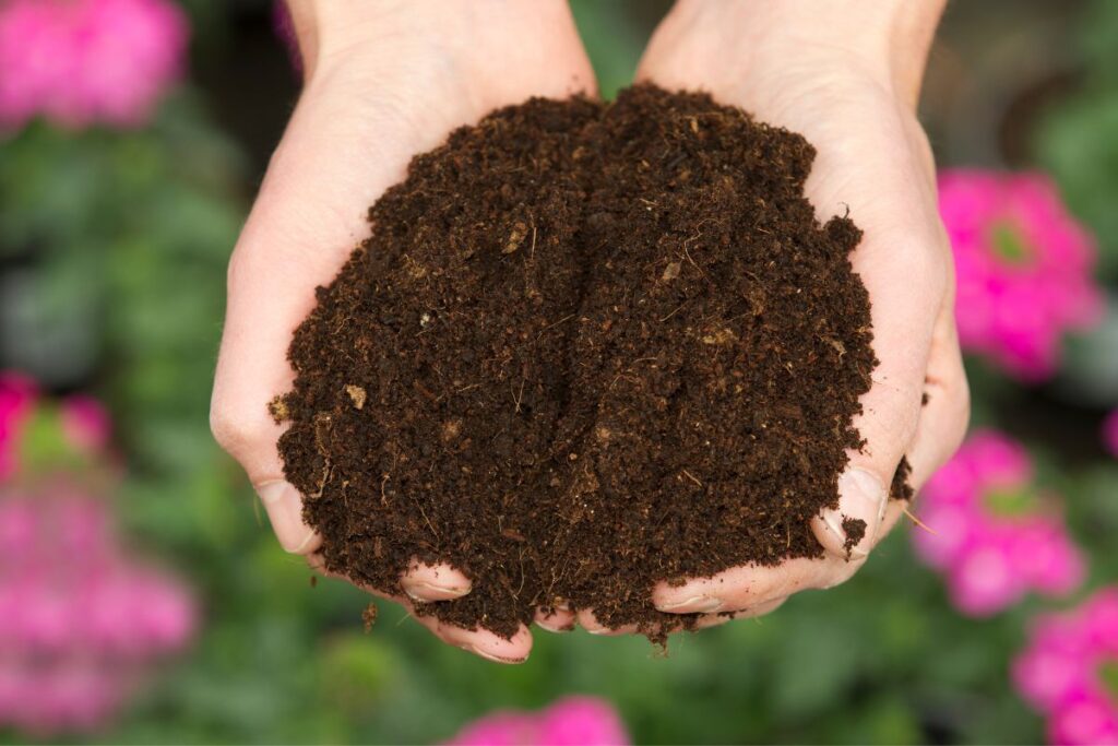 what's the difference between cactus soil and regular soil