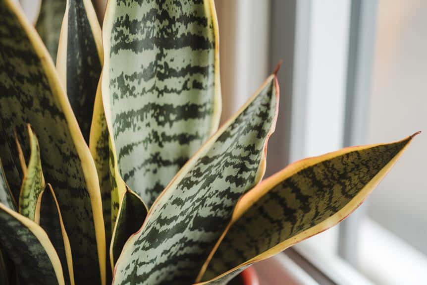 autumnal foliage fades wilting inevitably